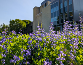 Music Building in spring