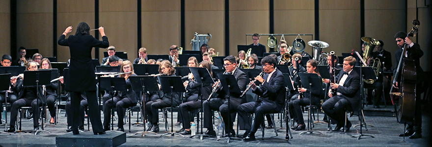 Winds, Brass & Percussion Division banner