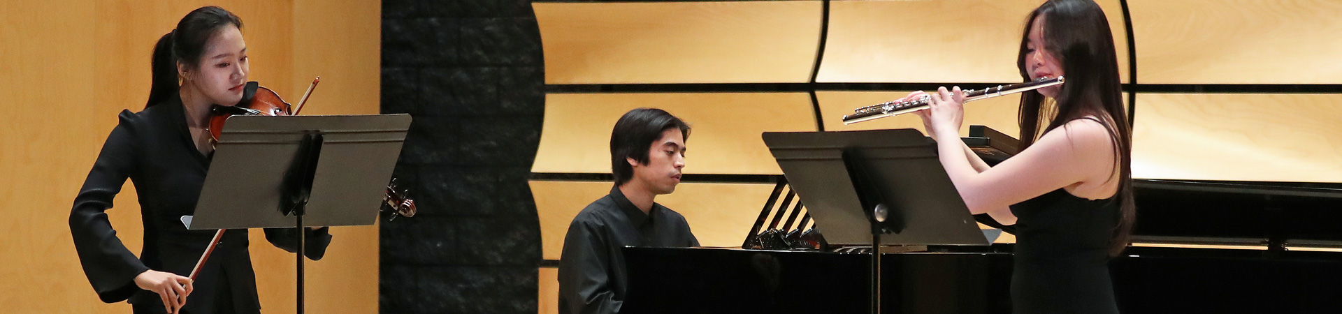 Chamber Music trio