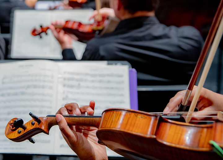 Symphony orchestra violin players
