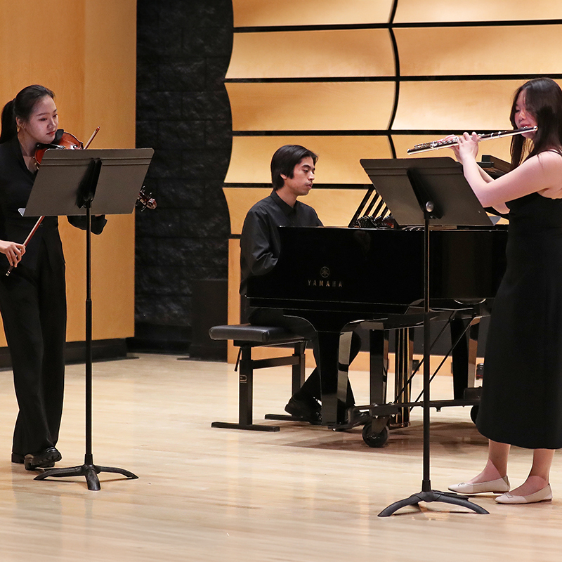 A chamber music group in performance