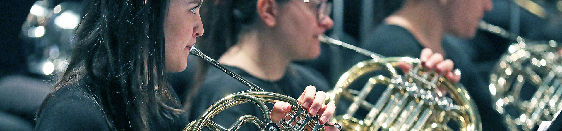 Row of French horn players in concert