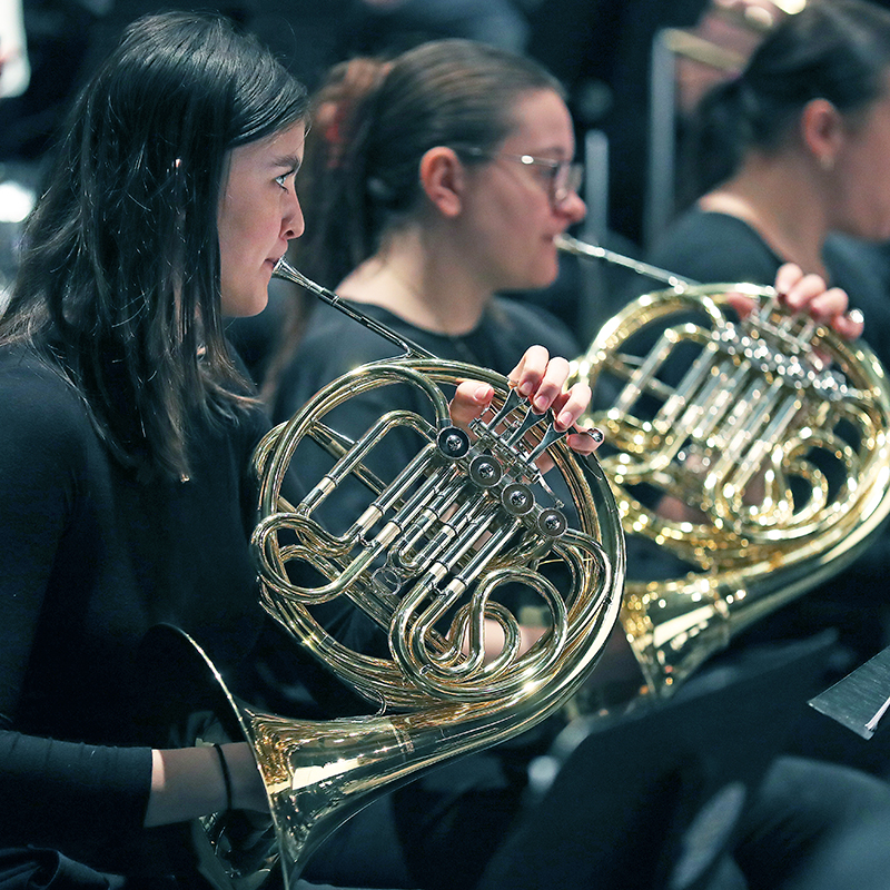 Row of French horn players in concert