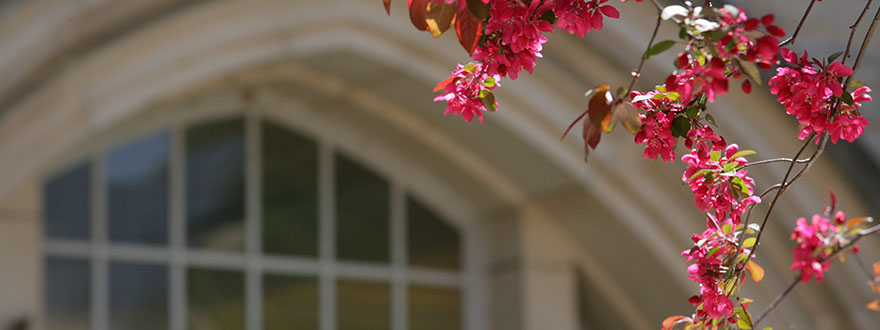 Talbot Petals